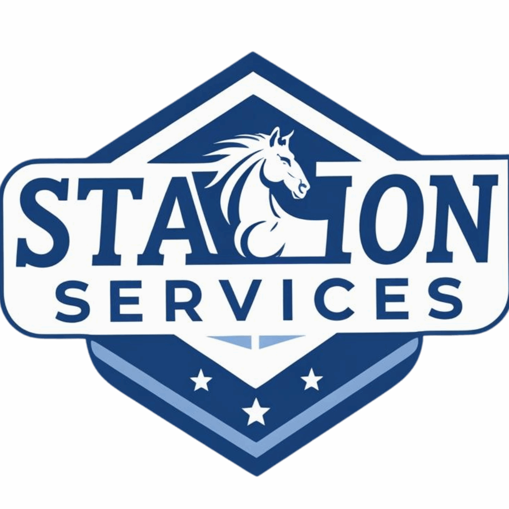 Services-By-Stallion logo